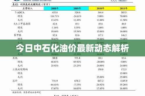 今日中石化油价最新动态解析
