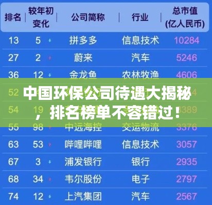 中国环保公司待遇大揭秘，排名榜单不容错过！