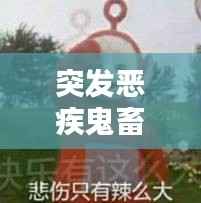 突发恶疾鬼畜配音:突发恶疾表情包