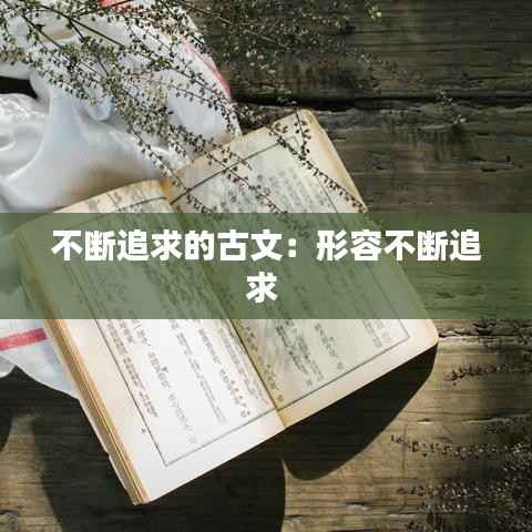 不断追求的古文:形容不断追求