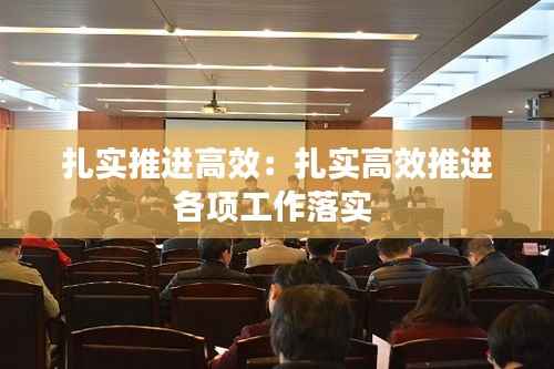 扎实推进高效：扎实高效推进各项工作落实 