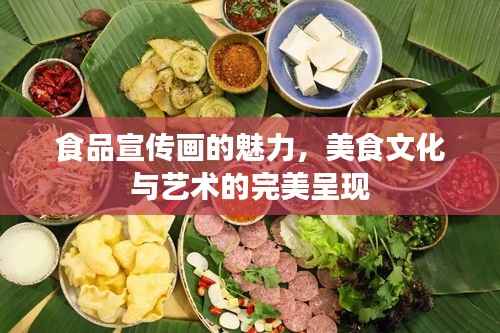 食品宣传画的魅力，美食文化与艺术的完美呈现