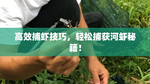 高效捕虾技巧，轻松捕获河虾秘籍！