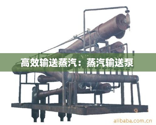 高效输送蒸汽:蒸汽输送泵