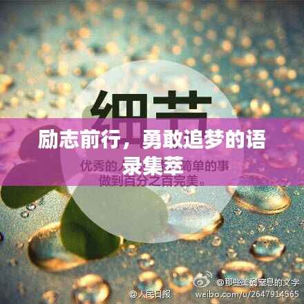 励志前行,勇敢追梦的语录集萃