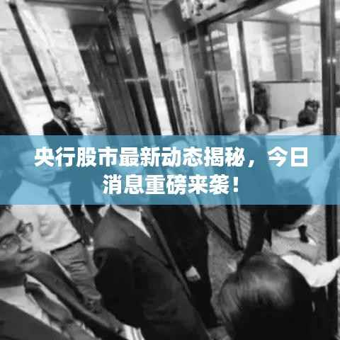 央行股市最新动态揭秘，今日消息重磅来袭！