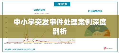 中小学突发事件处理案例深度剖析