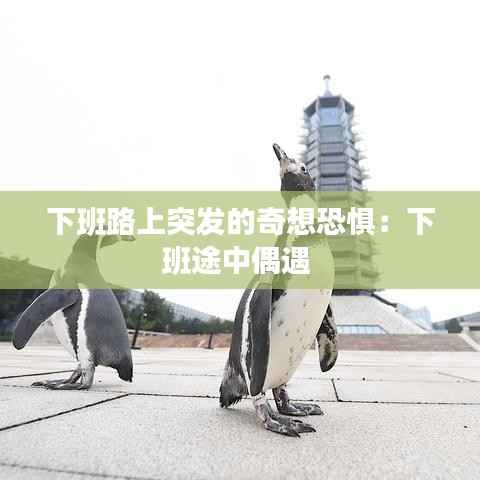 下班路上突发的奇想恐惧:下班途中偶遇