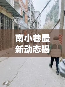 南小巷最新动态揭秘,今日状况一网打尽