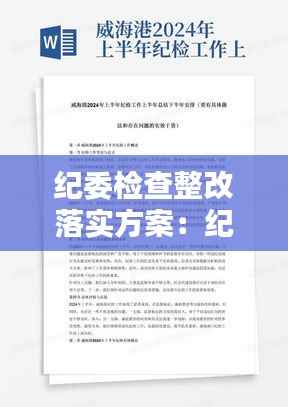 纪委检查整改落实方案：纪检问题整改报告 