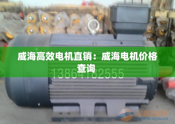 威海高效电机直销:威海电机价格查询