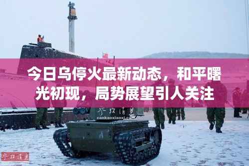 今日乌停火最新动态，和平曙光初现，局势展望引人关注