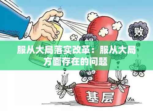 服从大局落实改革:服从大局方面存在的问题