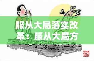 服从大局落实改革:服从大局方面存在的问题