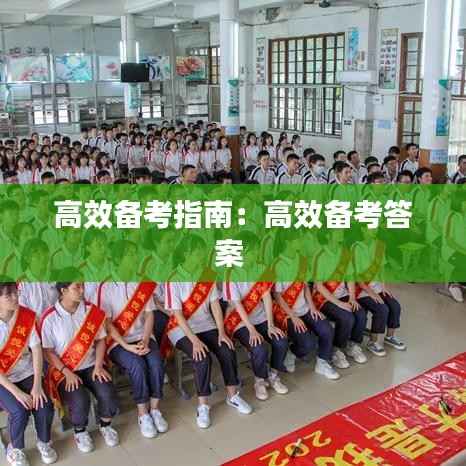 高效备考指南：高效备考答案 