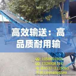 高效输送:高品质耐用输送机