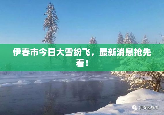伊春市今日大雪纷飞，最新消息抢先看！