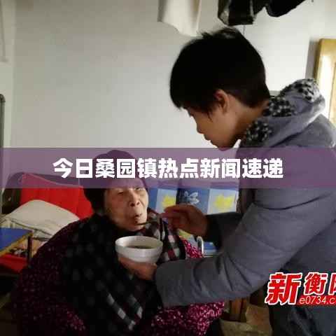 今日桑园镇热点新闻速递