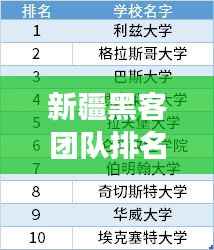 新疆黑客团队排名揭秘,TOP 10榜单重磅出炉!