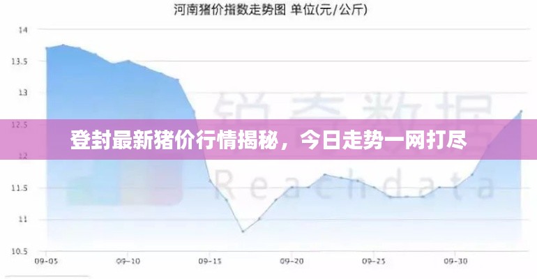 登封最新猪价行情揭秘，今日走势一网打尽