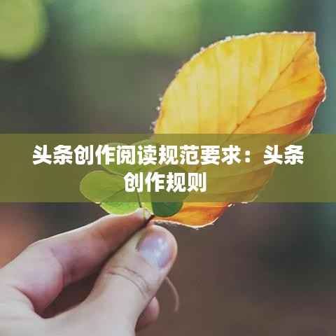头条创作阅读规范要求:头条创作规则