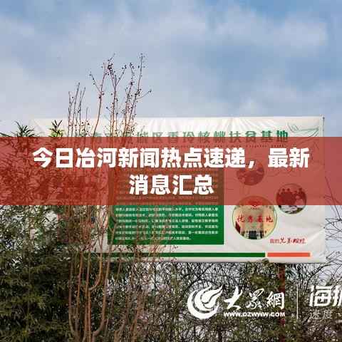 今日冶河新闻热点速递,最新消息汇总
