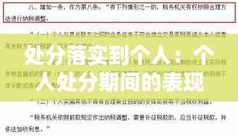处分落实到个人：个人处分期间的表现和反思 
