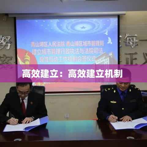 高效建立:高效建立机制