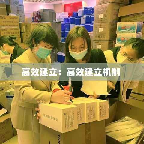 高效建立:高效建立机制