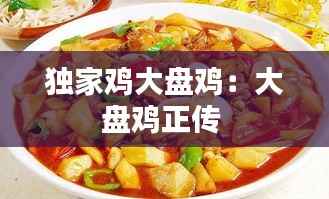 独家鸡大盘鸡:大盘鸡正传