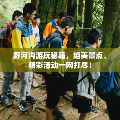 野河沟游玩秘籍,绝美景点、精彩活动一网打尽!