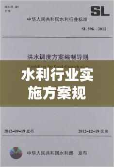 水利行业实施方案规范:水利项目实施方案范本
