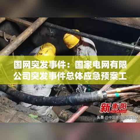 国网突发事件：国家电网有限公司突发事件总体应急预案工作原则 