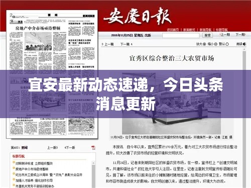 宜安最新动态速递,今日头条消息更新