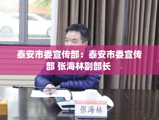 泰安市委宣传部:泰安市委宣传部 张海林副部长