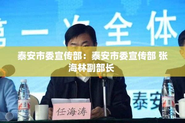 泰安市委宣传部:泰安市委宣传部 张海林副部长