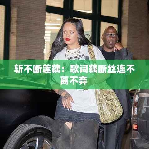 斩不断莲藕:歌词藕断丝连不离不弃