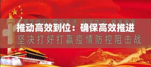 推动高效到位:确保高效推进