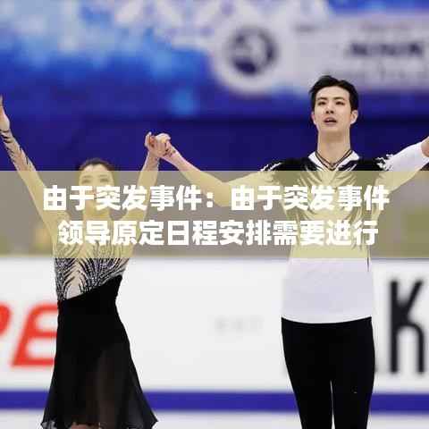 由于突发事件：由于突发事件 领导原定日程安排需要进行调整 