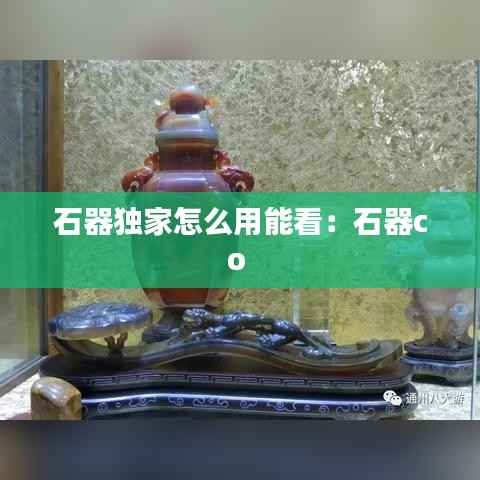石器独家怎么用能看:石器co