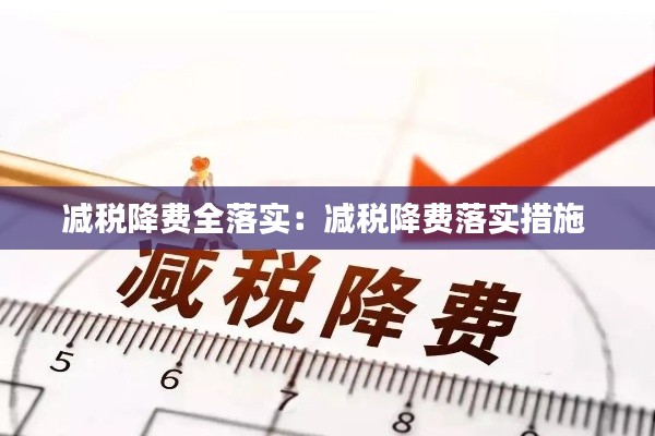 减税降费全落实:减税降费落实措施