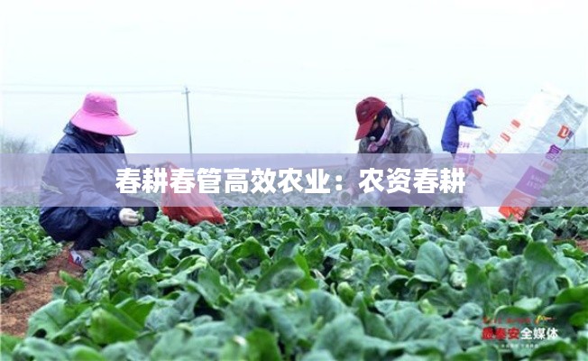 春耕春管高效农业:农资春耕