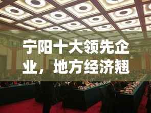 宁阳十大领先企业,地方经济翘楚引领发展之路