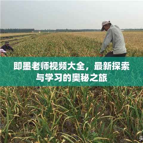 即墨老师视频大全,最新探索与学习的奥秘之旅