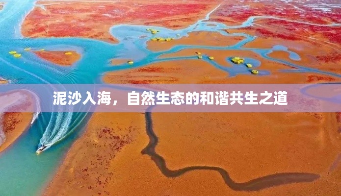 泥沙入海,自然生态的和谐共生之道