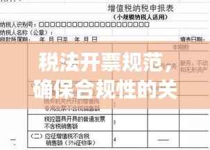 税法开票规范,确保合规性的关键步骤