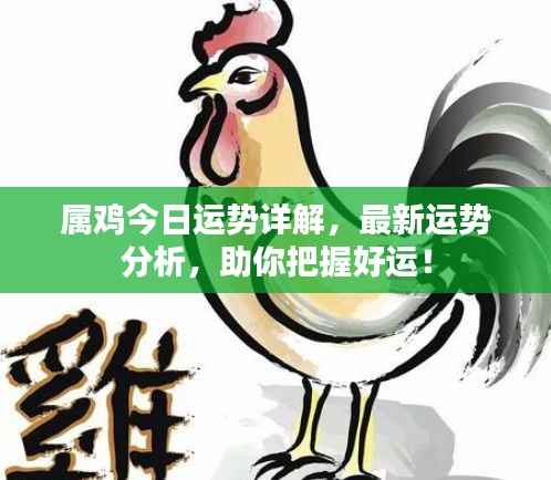 属鸡今日运势详解,最新运势分析,助你把握好运!
