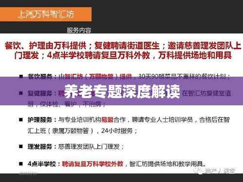 养老专题深度解读