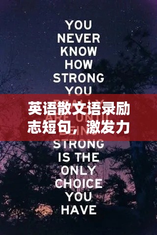 英语散文语录励志短句,激发力量的文字魅力