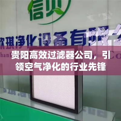 贵阳高效过滤器公司,引领空气净化的行业先锋